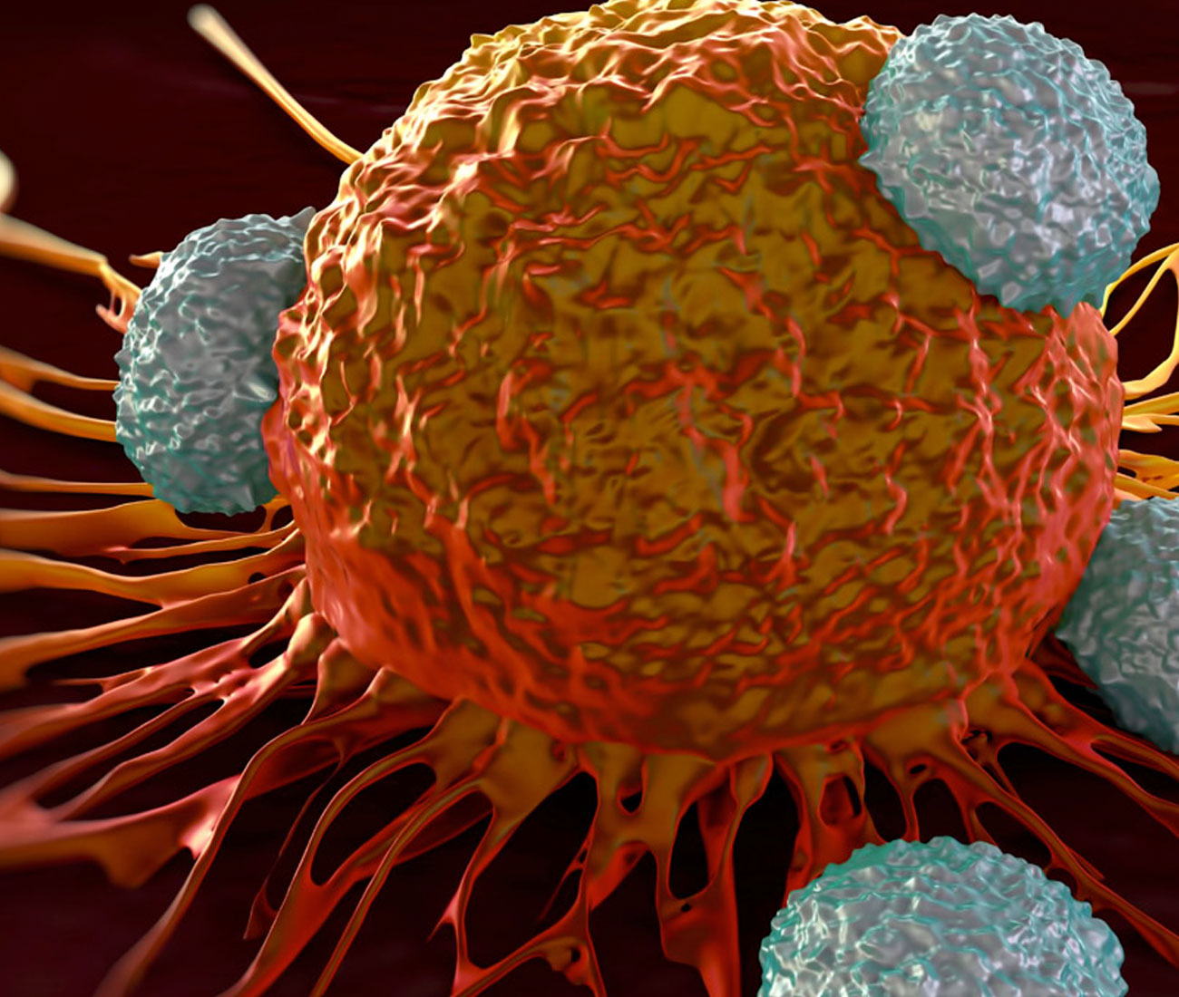 Cancer is a leading killer of pets today.