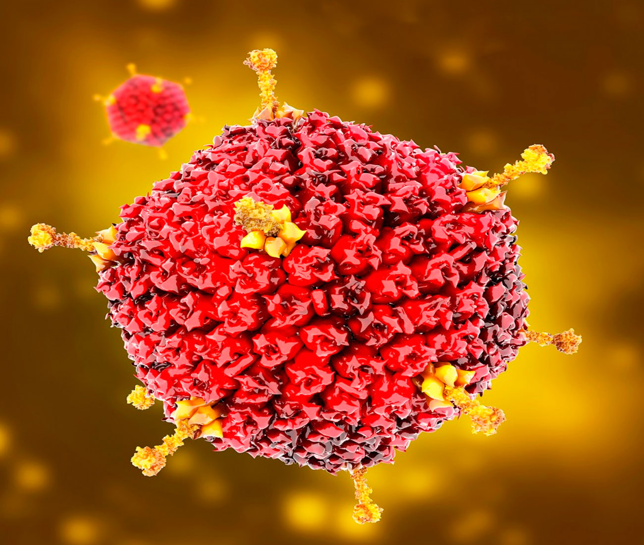 EVVIVAX translates scientific breakthrough achievements