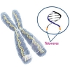 25-29 October - EVVIVAX to present data at the Veterinary Cancer Society, Portland, Oregon (USA)