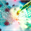 17 feb 2022 - Applied DNA and EvviVax Announce Publication of Positive Preclinical Data for LinearDNA™ Platform Approach  to Cancer Immunotherapy